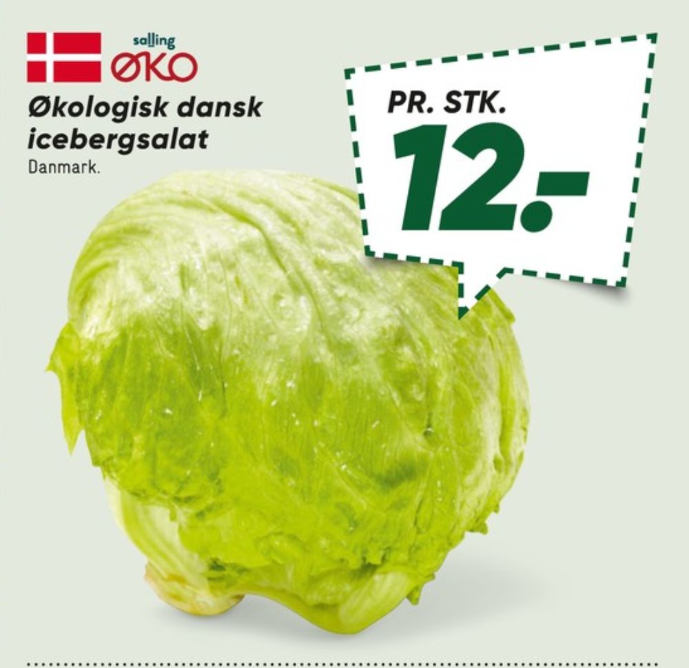 Salling ØKO, Icebergsalat