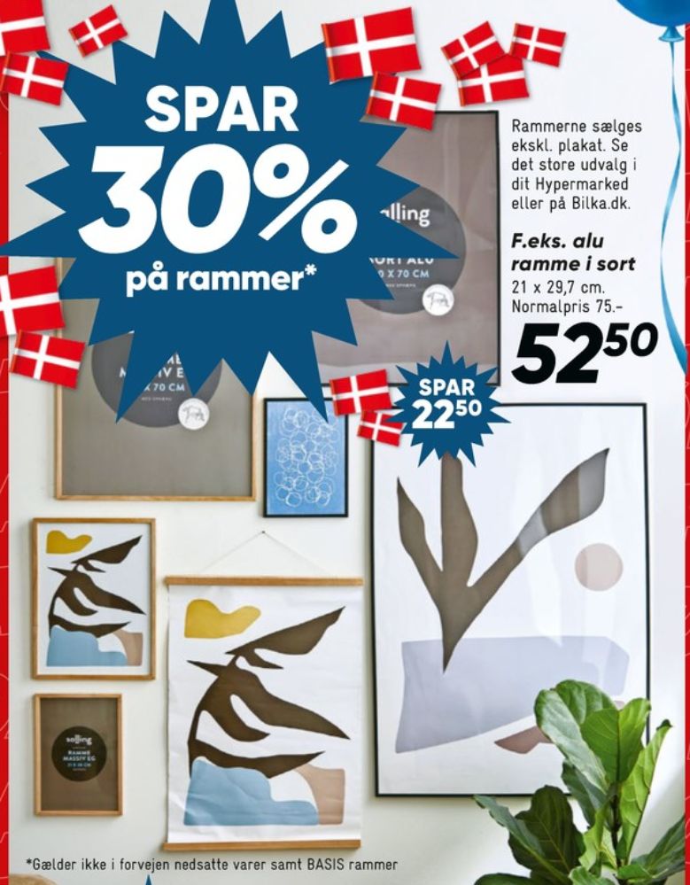 Billedramme