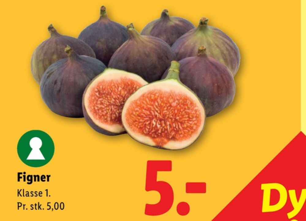 Figner