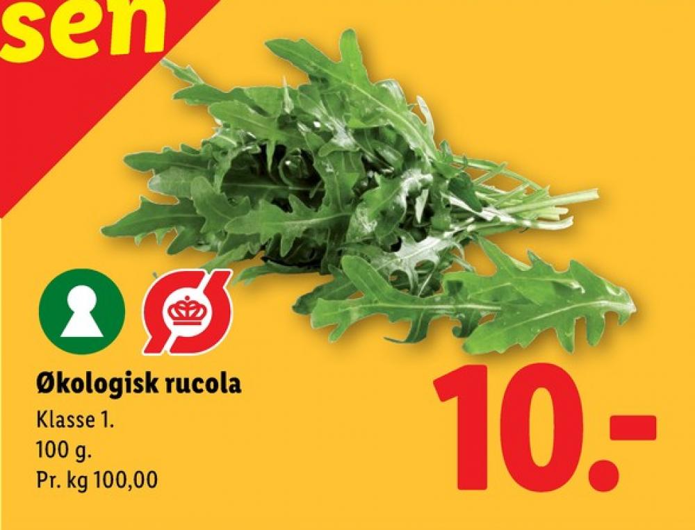 Rucolasalat
