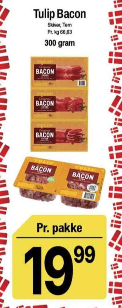 Tulip, Baconskiver