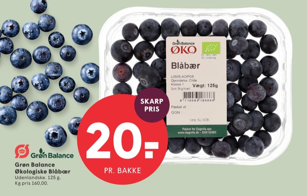 Grøn Balance, Blåbær