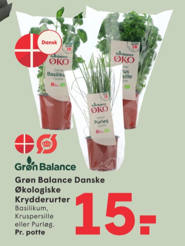 Grøn Balance, Persille