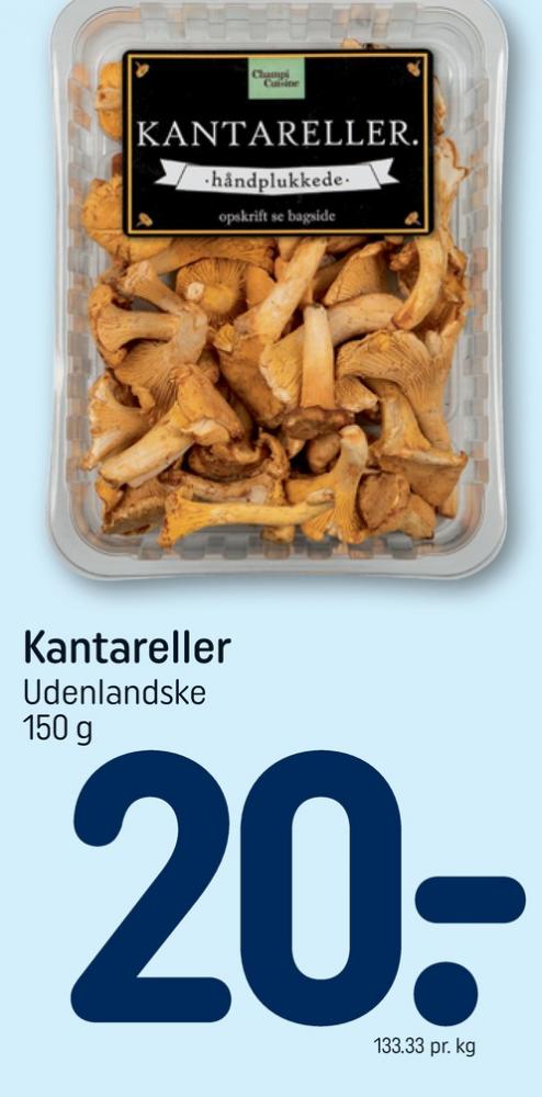 Champi Cuisine, Kantareller