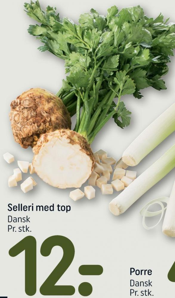 Knoldselleri