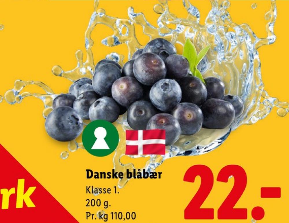 Blåbær