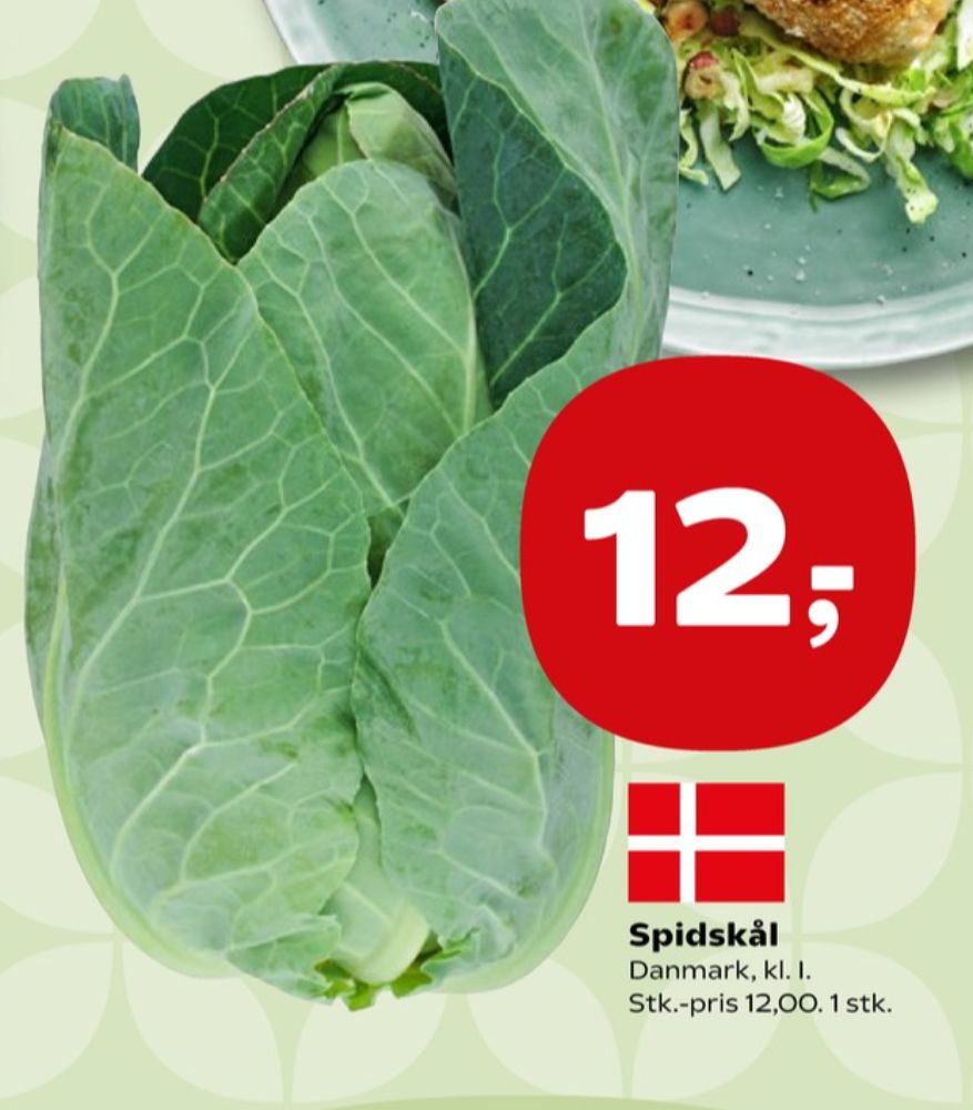 Spidskål