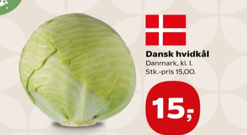 Hvidkål