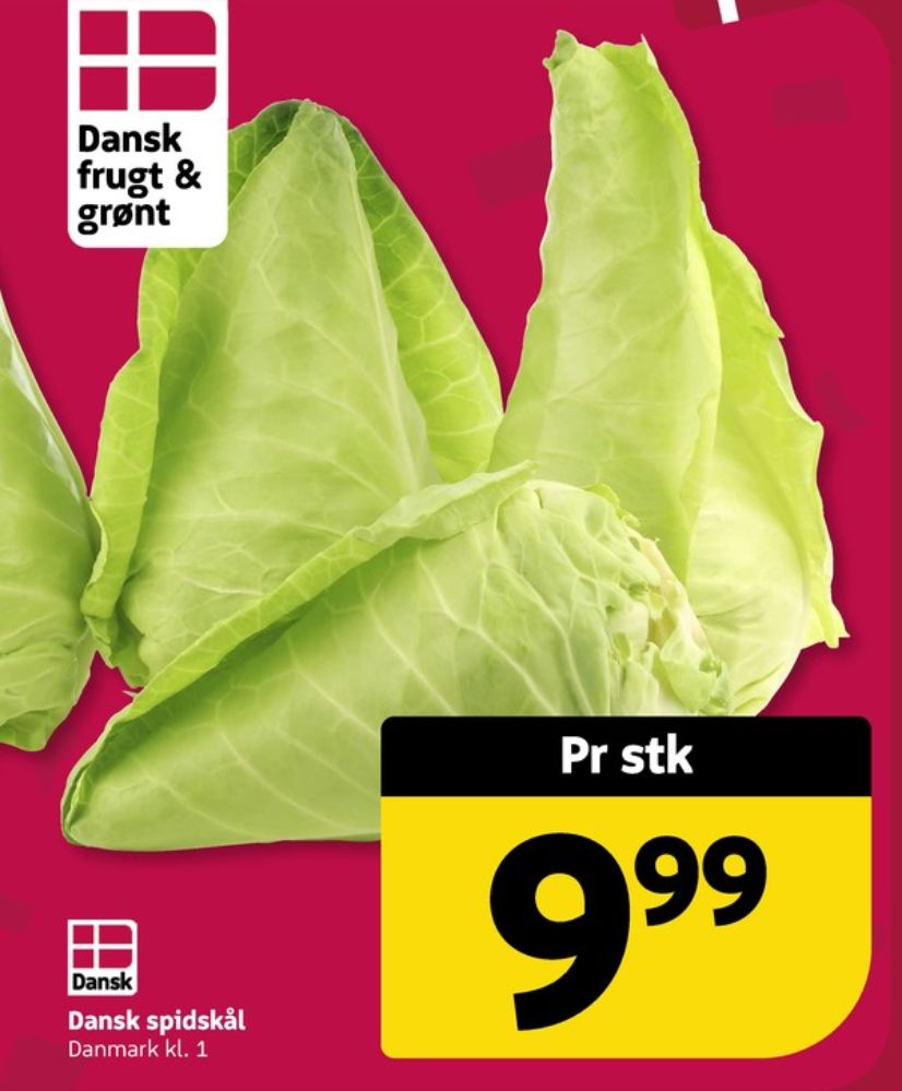 Spidskål