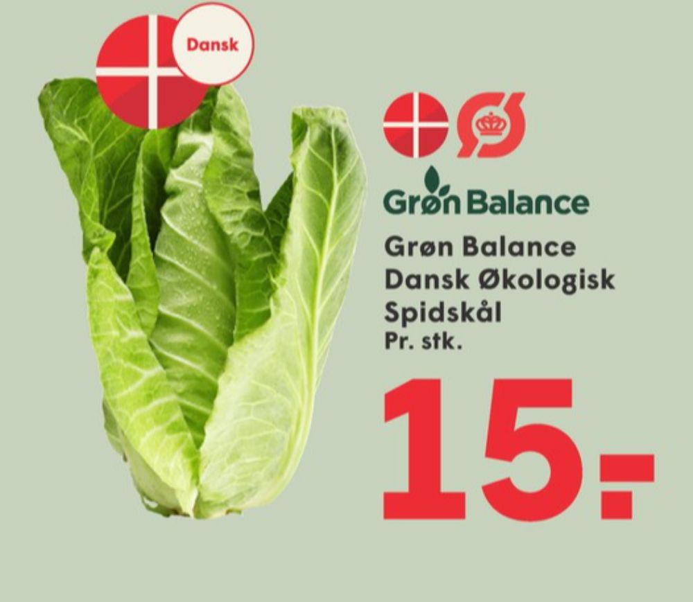 Grøn Balance, Spidskål