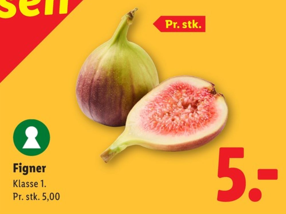 Figner