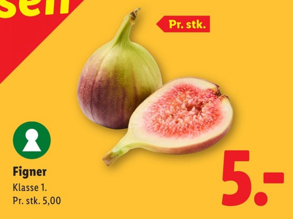 Figner