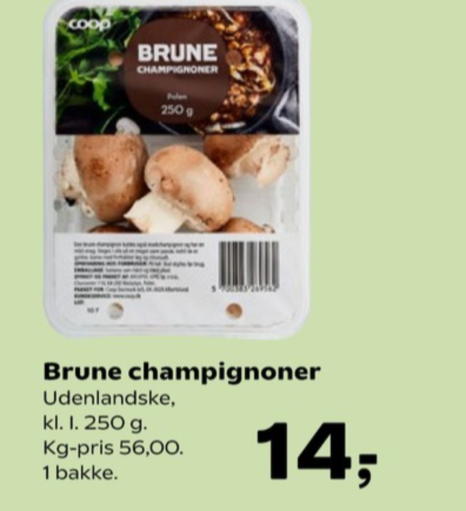 Coop, Champignon