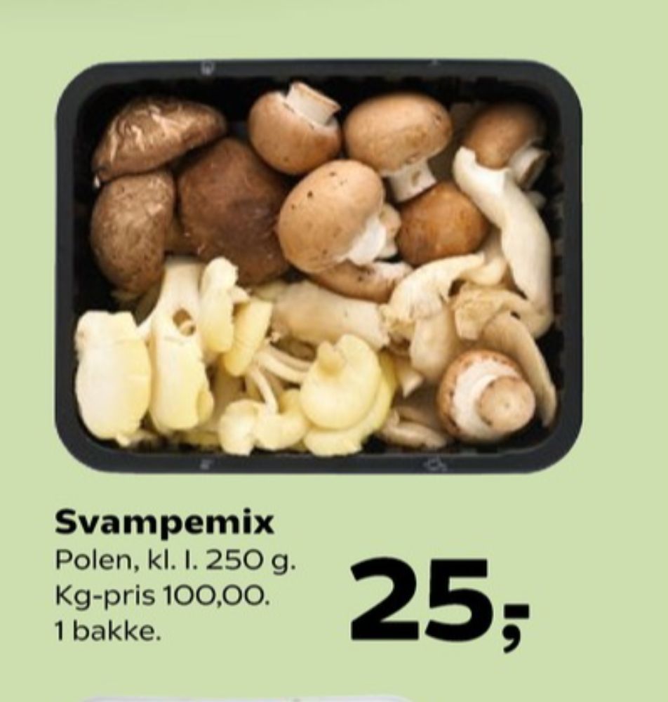 Svampe