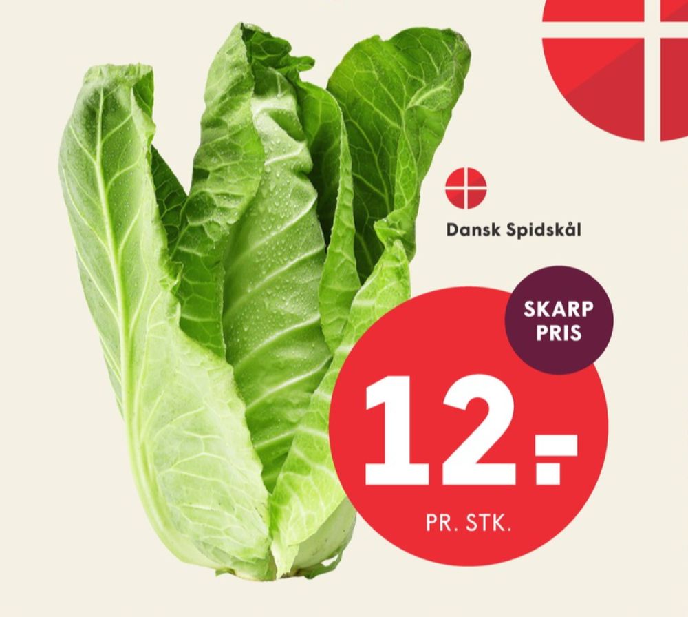 Spidskål