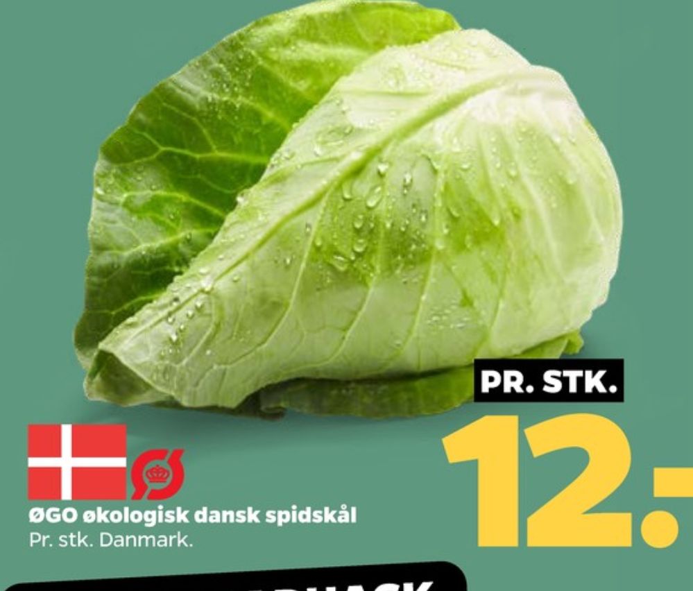 ØGO, Spidskål