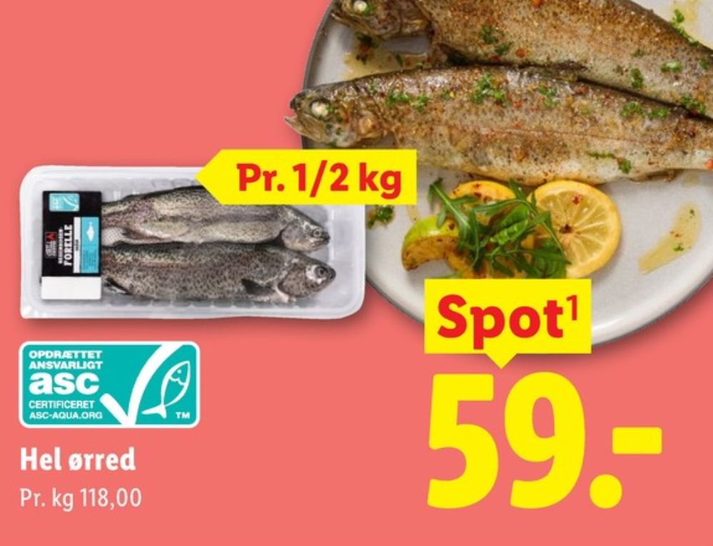 Havblå, Ørred