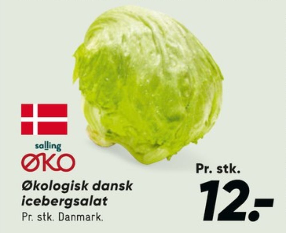 Salling ØKO, Icebergsalat