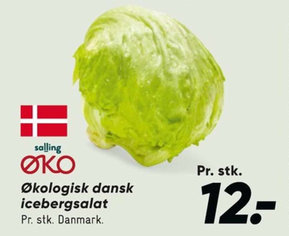 Salling ØKO, Icebergsalat