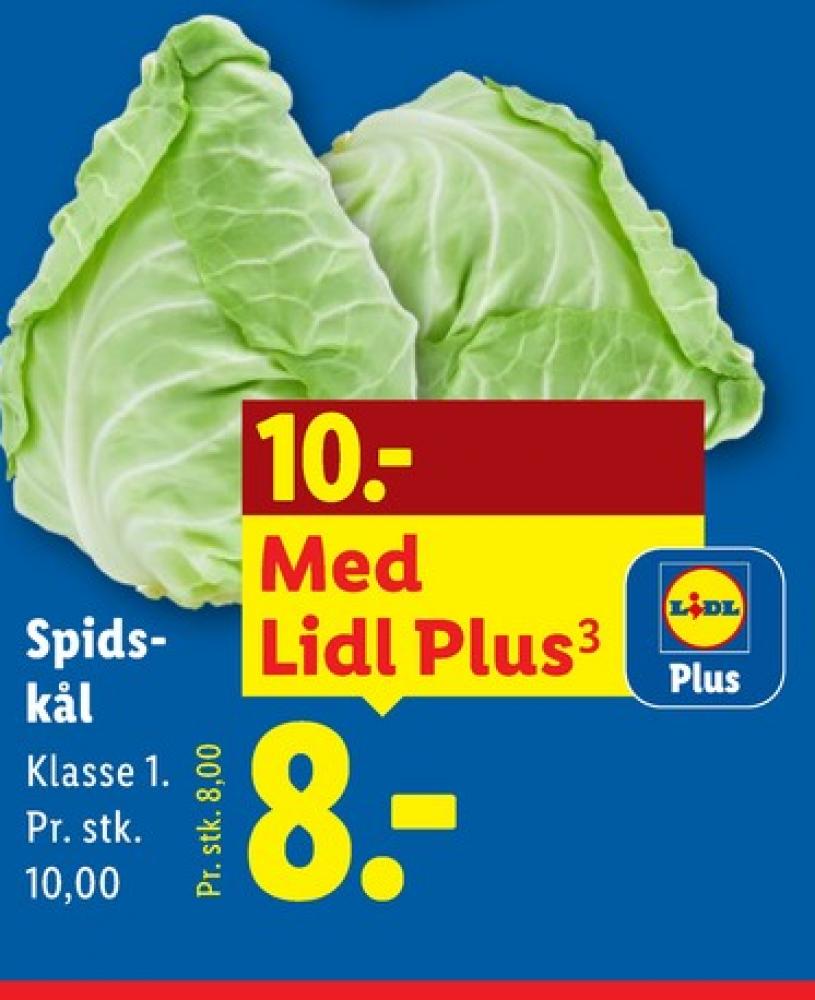 Spidskål