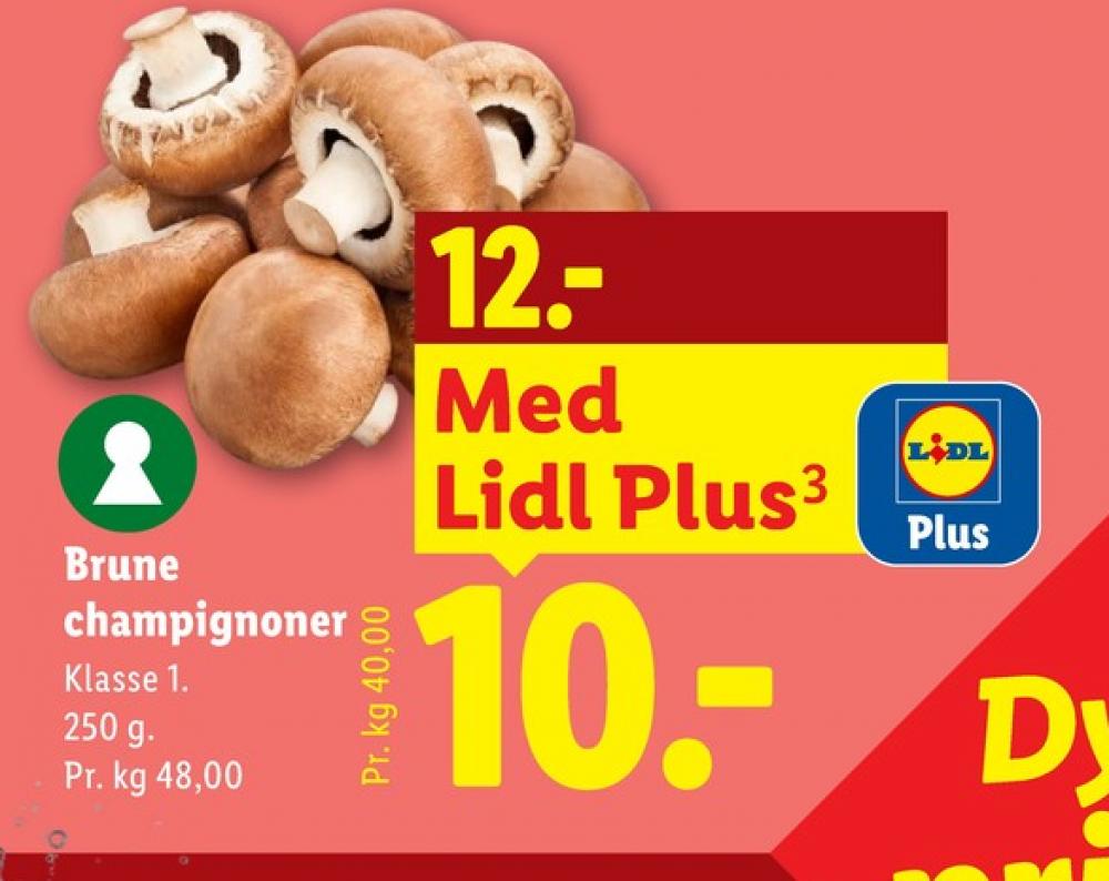 Champignon