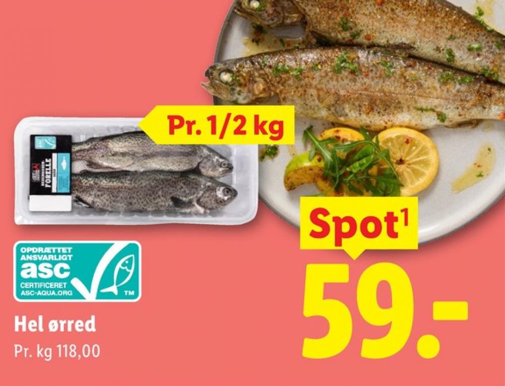 Havblå, Ørred