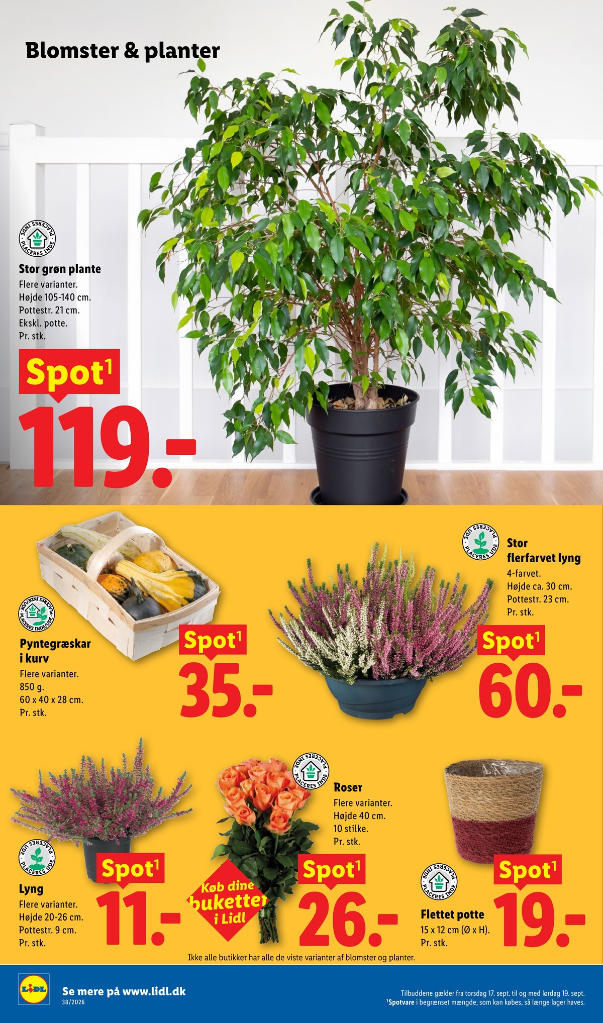 Catalogue page 35