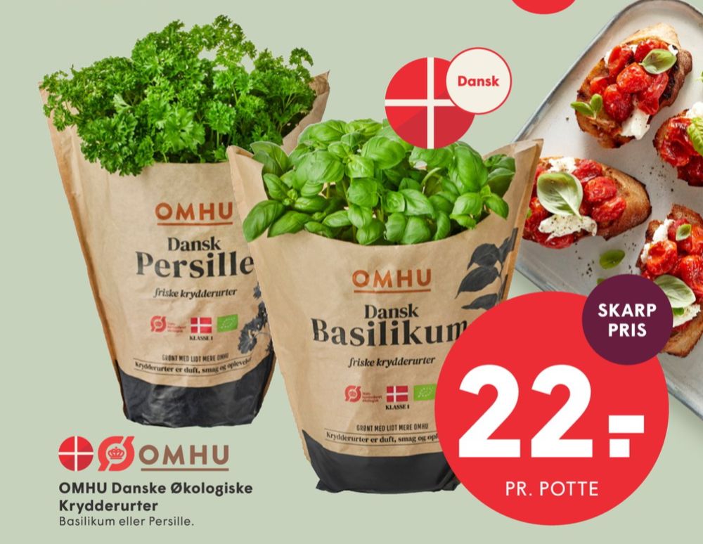 OMHU, Basilikum