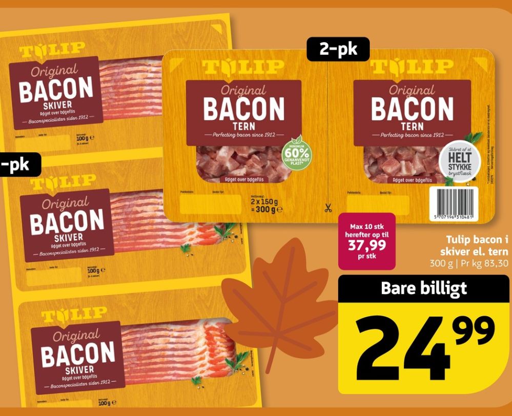 Tulip, Baconskiver