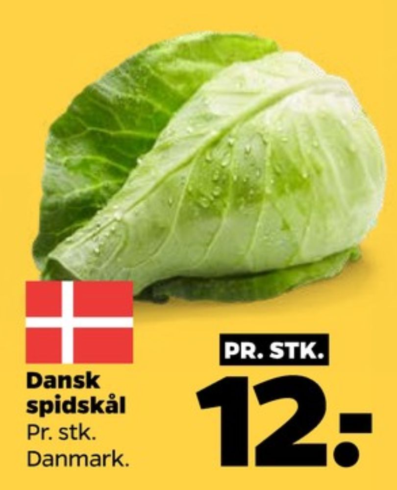 Spidskål