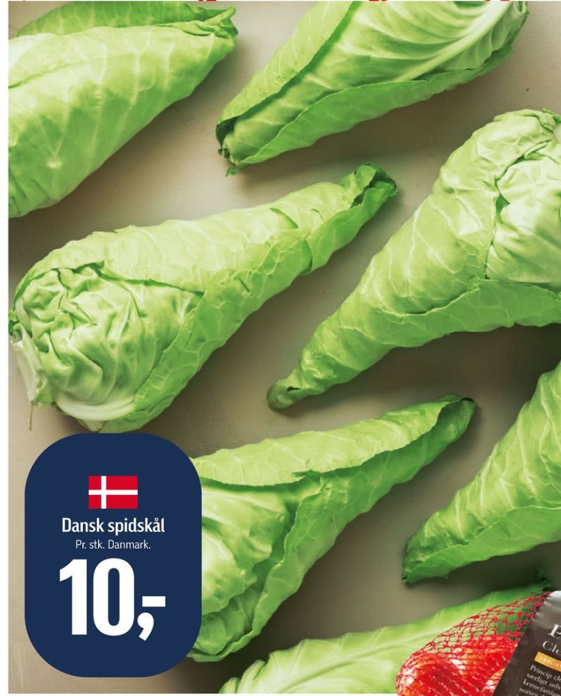 Spidskål