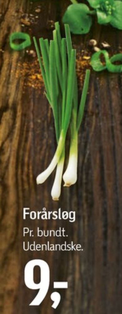 Forårsløg