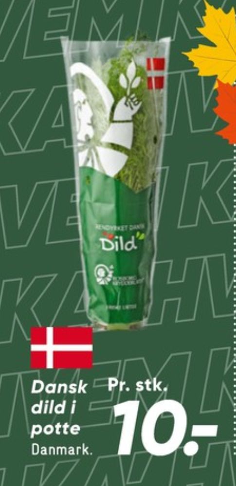 Rosborg, Dild