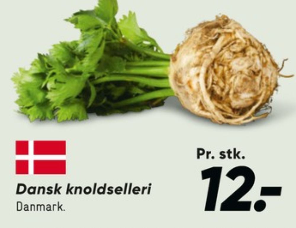 Knoldselleri