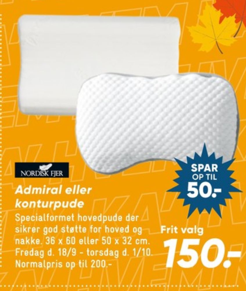 Nordisk Fjer, Hovedpude