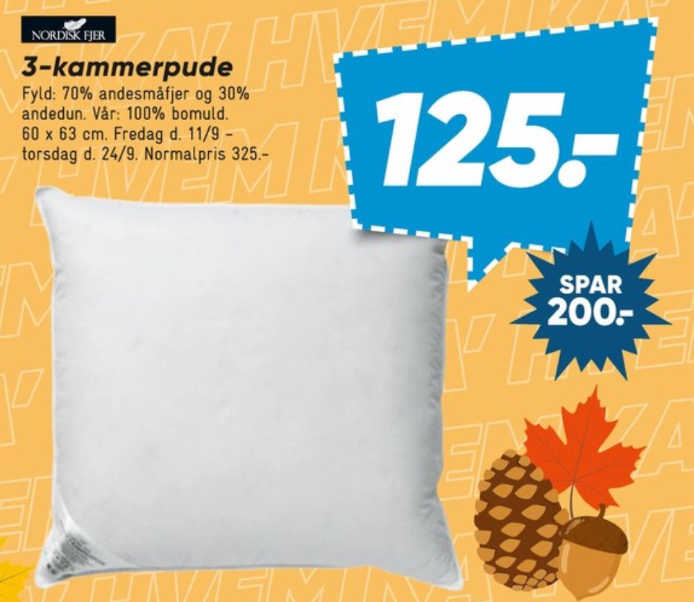 Nordisk Fjer, Hovedpude