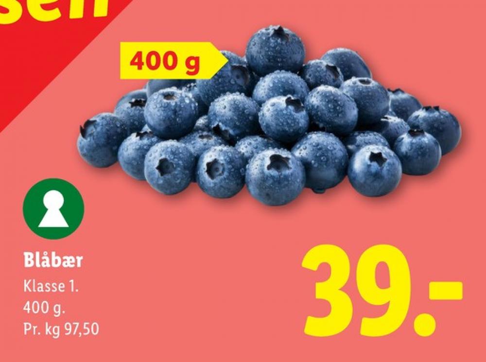 Blåbær