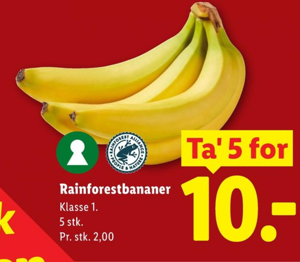 Bananer