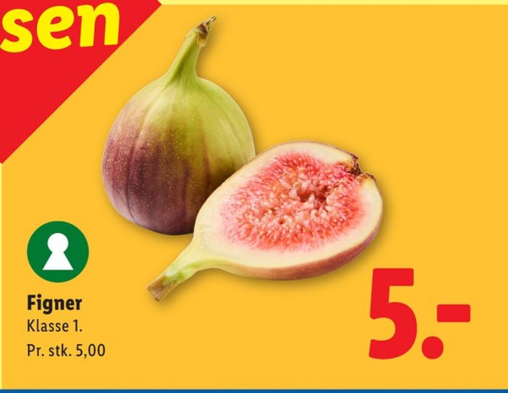 Figner
