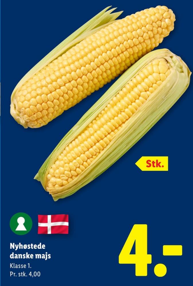 Majskolbe