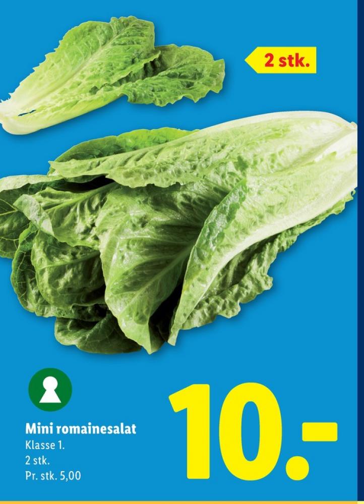 Romainesalat