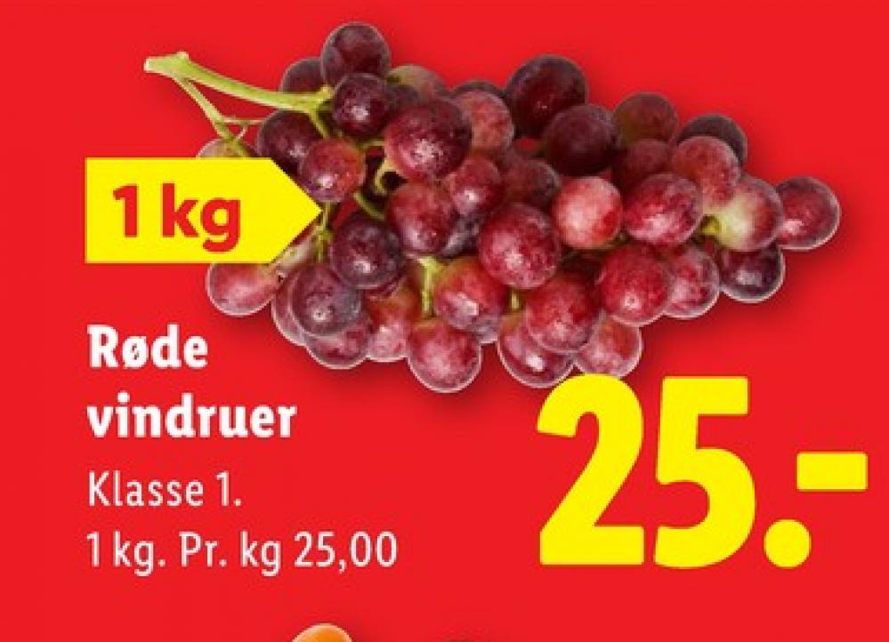 Vindruer