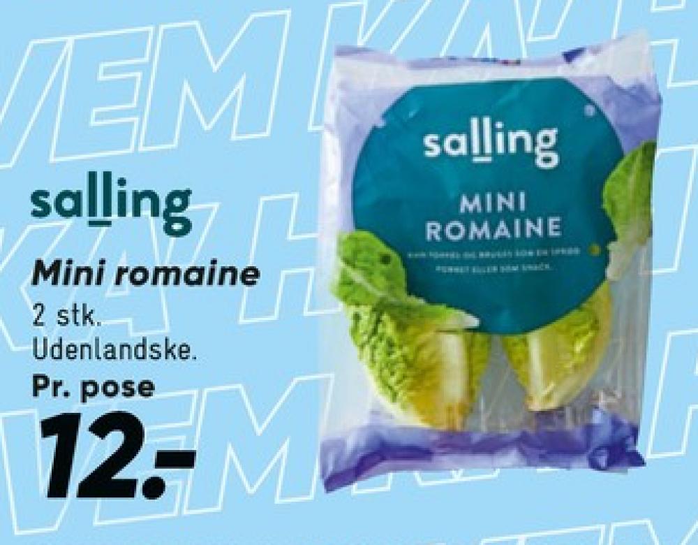 Salling, Salat