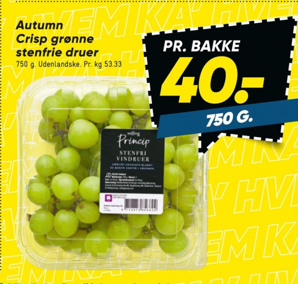 Salling Princip, Vindruer