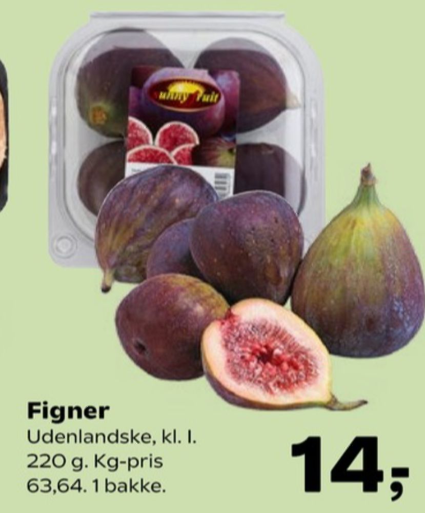 Figner