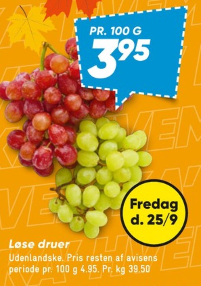 Vindruer
