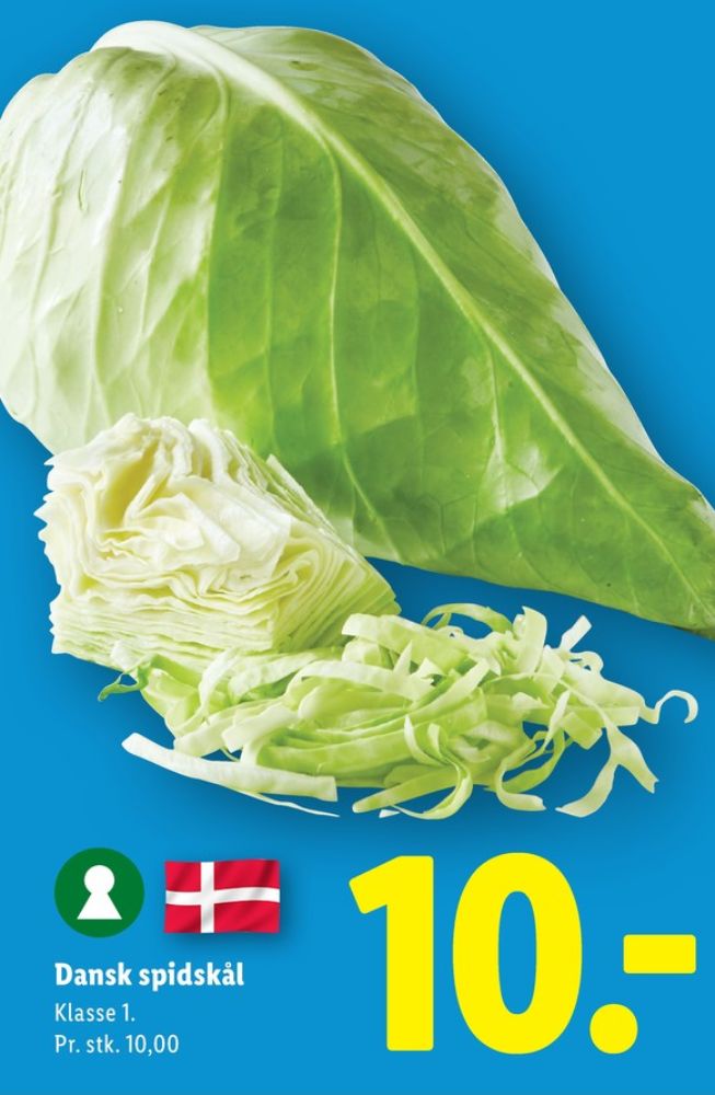 Spidskål