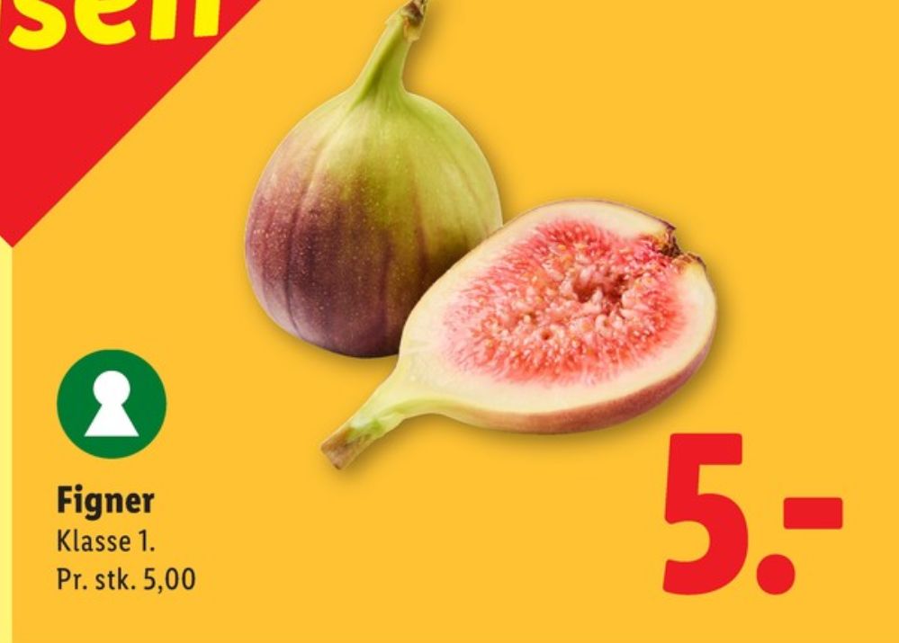 Figner