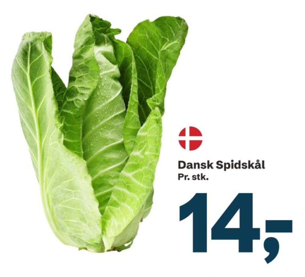 Spidskål