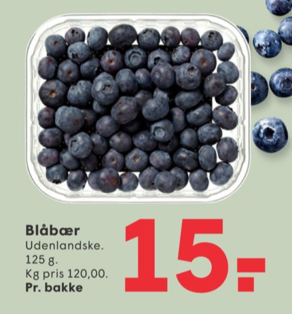 Blåbær